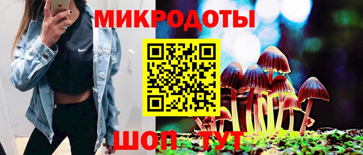 Псилоцибиновые грибы мицелий Дзержинск