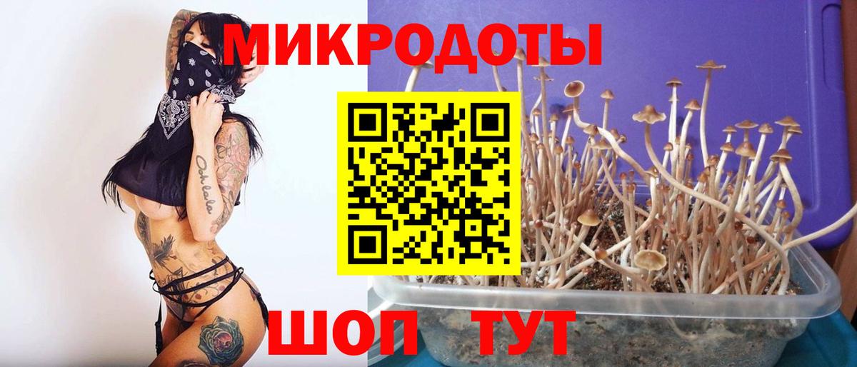 цены   Псилоцибиновые грибы прущие грибы  Вход с VPN  Дзержинск 